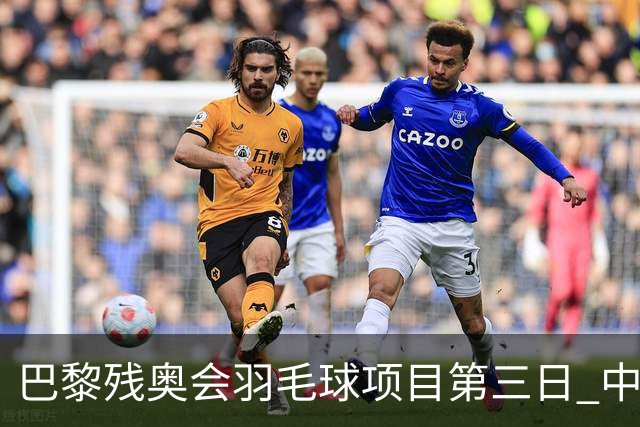 巴黎残奥会羽毛球项目第三日 中国队取得13胜3负